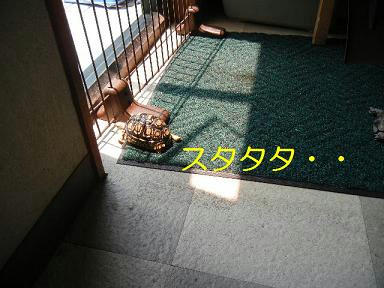 DSCN3150.JPG