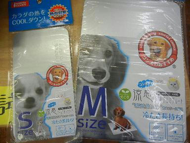 DSCN3147.JPG