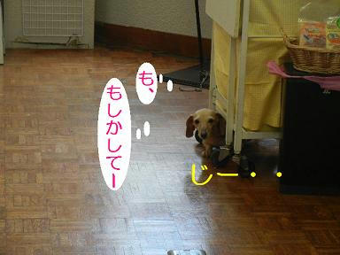DSCN3144.JPG