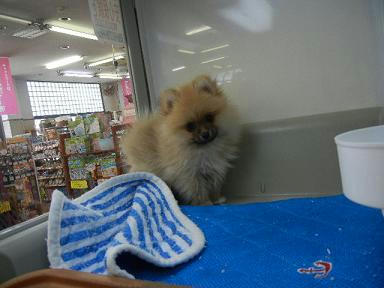 DSCN3216.JPG