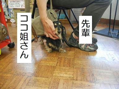 DSCN3282.JPG