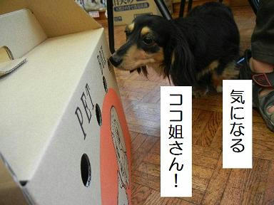 DSCN3289.JPG
