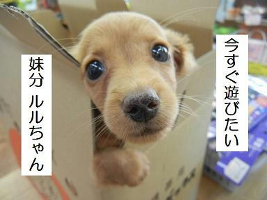 DSCN3280.JPG