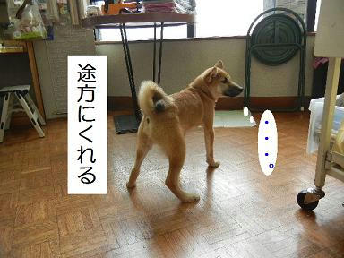 DSCN3323.JPG