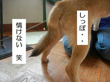 d9929a82.jpeg