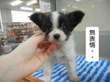 DSCN3395.JPG