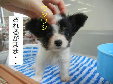 DSCN3397.JPG