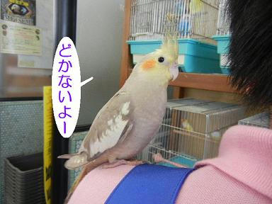 DSCN3401.JPG