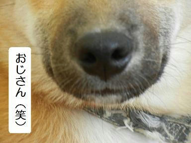 DSCN3416.JPG