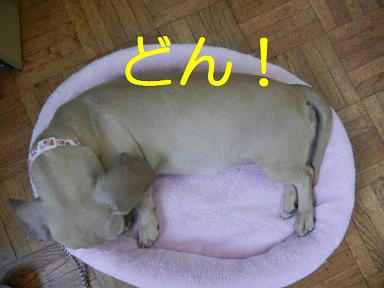 DSCN3622.JPG