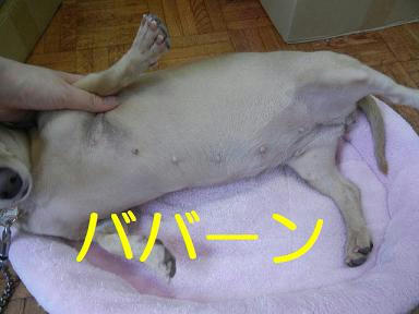 DSCN3615.JPG
