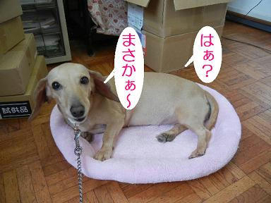 DSCN3614.JPG