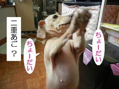 DSCN3603.JPG