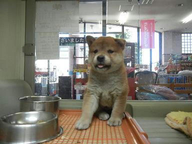 DSCN3829.JPG