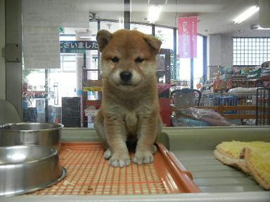 DSCN3830.JPG