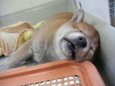 DSCN3797.JPG