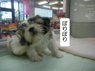 DSCN3854.JPG