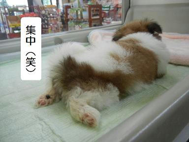 DSCN3878.JPG