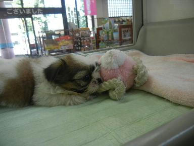 DSCN3872.JPG