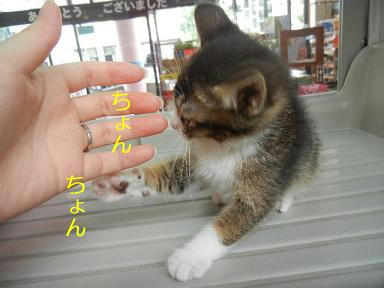 DSCN4064.JPG