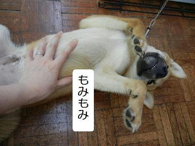 DSCN4115.JPG