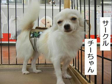 DSCN3988.JPG
