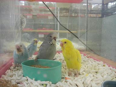 DSCN4126.JPG