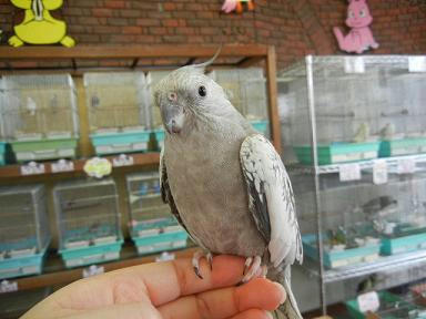 DSCN4179.JPG