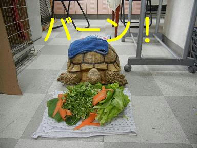 DSCN4153.JPG