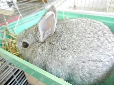 DSCN4351.JPG