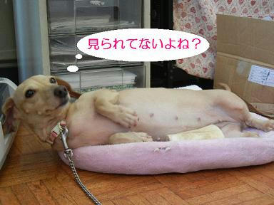 DSCN4370.JPG