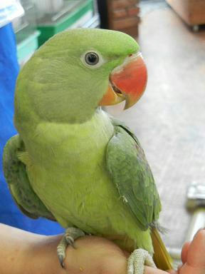 DSCN4408.JPG