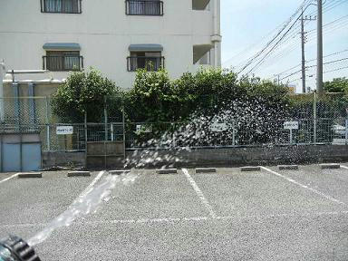 DSCN4463.JPG