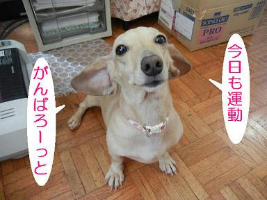 DSCN4438.JPG