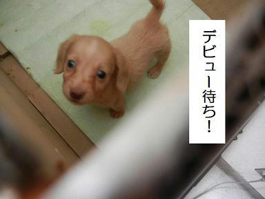 DSCN4498.JPG