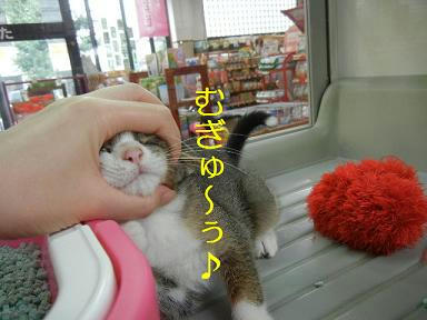 DSCN4617.JPG