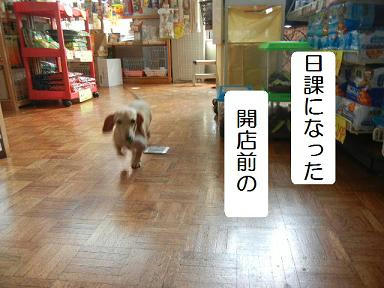 DSCN4623.JPG