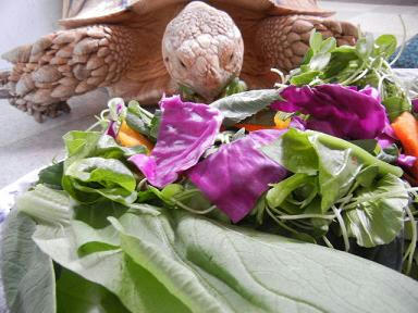 DSCN4538.JPG