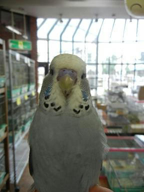DSCN4684.JPG