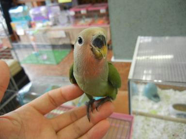 DSCN4689.JPG