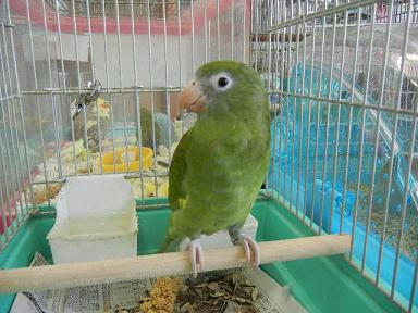 DSCN4706.JPG