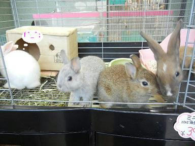 DSCN4924.JPG