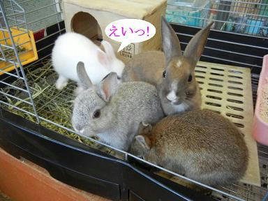 DSCN4935.JPG