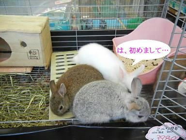 DSCN4937.JPG