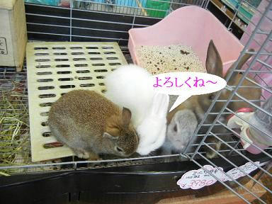 DSCN4940.JPG