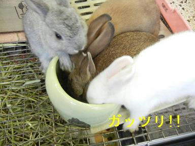 DSCN4944.JPG