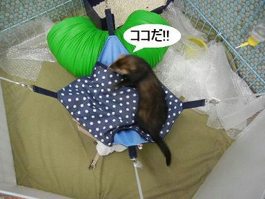 DSCN4953.JPG