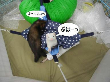 DSCN4958.JPG