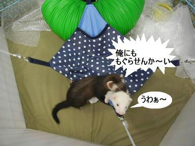 DSCN4960.JPG