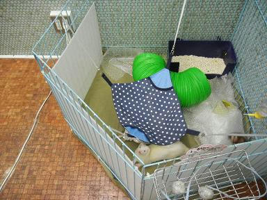 DSCN4961.JPG